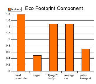Global Warming Chart - Ecological Footprint